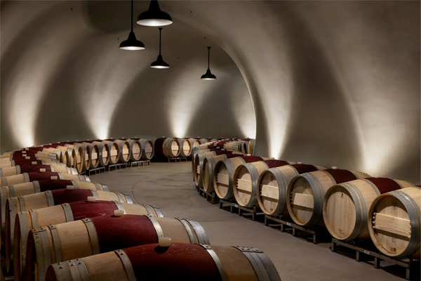 A wine cellar with rows of wooden barrels placed on metal racks, illuminated by overhead lights.