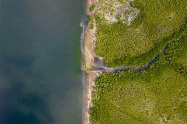 Aerial view of a lush green landscape meeting a body of water, with a small stream flowing from the land into the water.