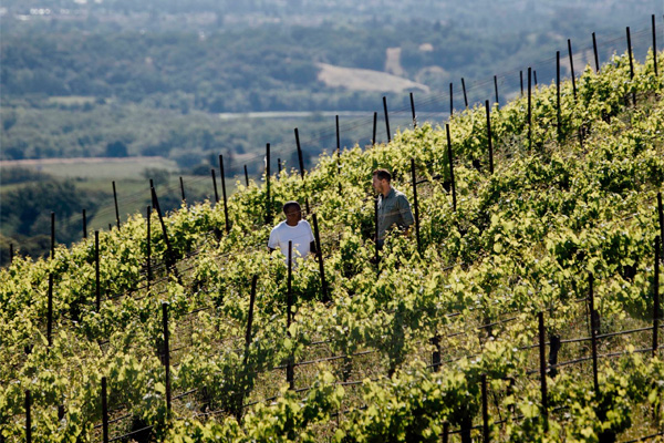 Two people walk through a vineyard on a hillside with greenery and distant landscape visible in the background.