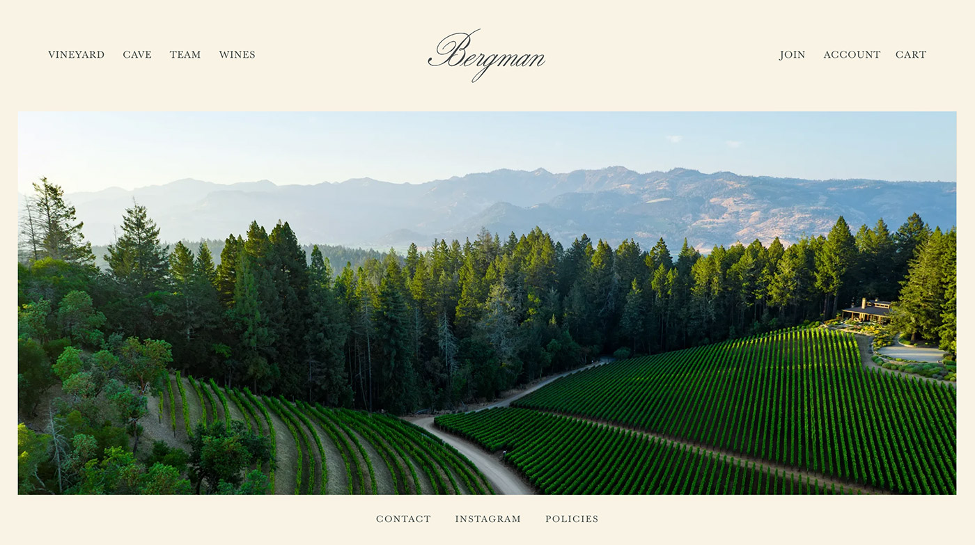 A vineyard landscape with rows of grapevines surrounded by trees, under a clear sky, with mountains in the background.