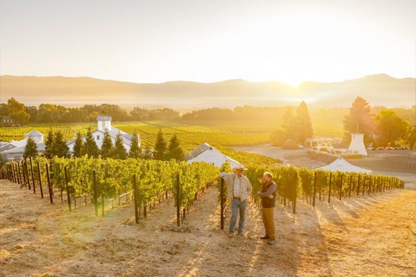 Two individuals stand in a vineyard at sunrise, with rows of grapevines, distant hills, and farm buildings in the background.